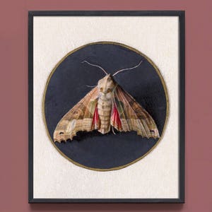 Victorian Moth, Dark Academia Decor, Dark Academia Print, Modern Victorian Wall Art, Victorian Wall Decor, Goth Art, Insect Painting