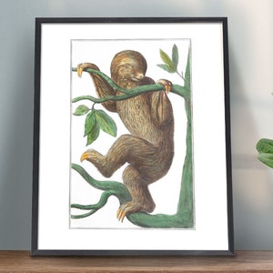 Cute Sloth Gift Art print, Strange Animal Art, Cute Nursery Art, Sloths