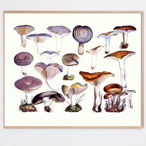 Mushroom Decor, Mushroom Art Print, Kitchen Art, Foodie Art, Farmhouse Funghi, Victorian Mushroom, Cottagecore Decor, Aesthetic room decor image 2