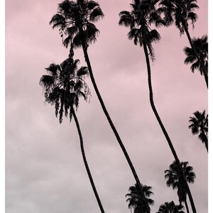 Pink Art, Los Angeles Photography, Beach House Art, Pink coastal wall art Surf Decor, Sunset photography Hollywood Regency, Hollywood Palm image 4