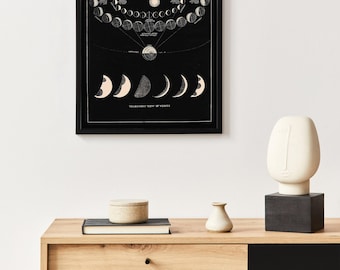 Antique Moon Phases & Venus Transit Art | Vintage Astronomy Chart | Studio Series Giclée | Celestial Navigation Wall Art