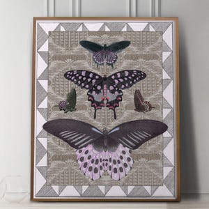 Antique Butterfly Collage Print, Victorian Natural History Art with Patterns, Cottage Wall Decor image 3