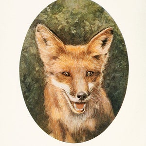 Fox Art print, Strange Animal Art, Cute Nursery Art image 2