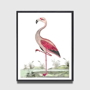 Flamingo Art | Flamingo Print | Flamingo Print Art | Hollywood Regency | Nursery Art | Pink Flamingo | Vintage Flamingo Botanical Art Prints