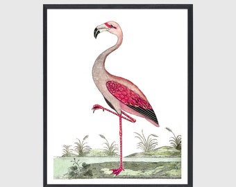 Flamingo Art | Flamingo Print | Flamingo Print Art | Hollywood Regency | Nursery Art | Pink Flamingo | Vintage Flamingo Botanical Art Prints