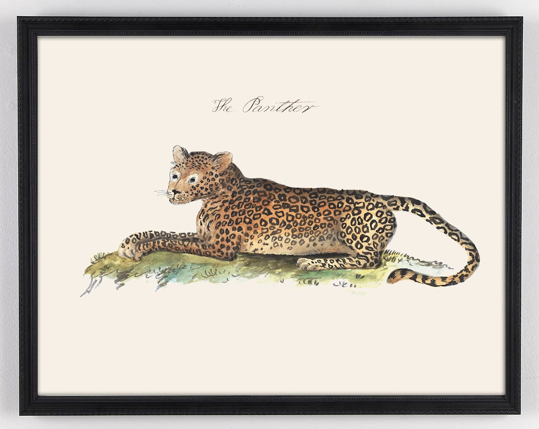 Vintage Tiger Art Vintage Panther Print for Kids Room Safari Etsy