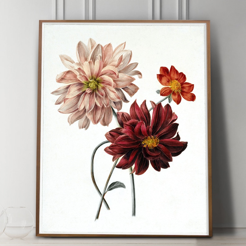 Modern Victorian Wall Art Dahlia Botanical Victorian Wall Etsy