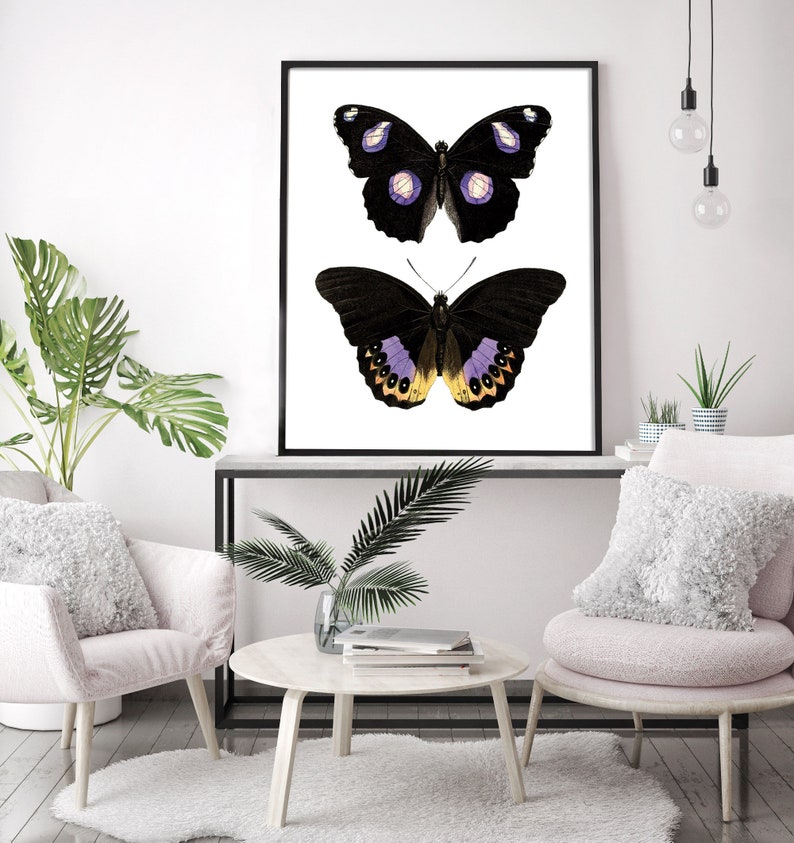 May include: A black and white framed print of two butterflies with purple and yellow accents. The butterflies are on a white background.