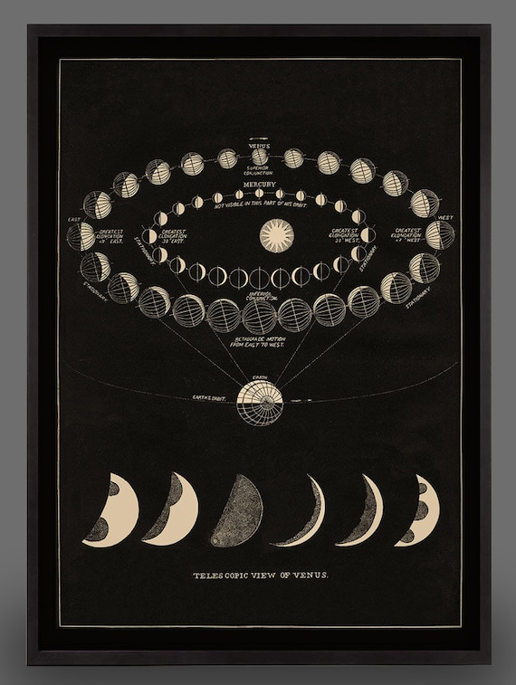 Vintage Moon Phase T-Shirt Astrology Lunar Cycle Diagram Tee Vintage Moon Phase T-Shirt Astrology Lunar Cycle Diagram Tee