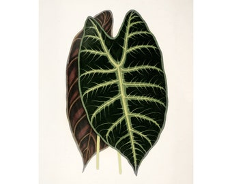 Tropical Leaf Print, Green Leaf Botanical Print, Tropical Print, Palm leaf Print, Antique Botanical Print, Greenery Print, Botanical Poster