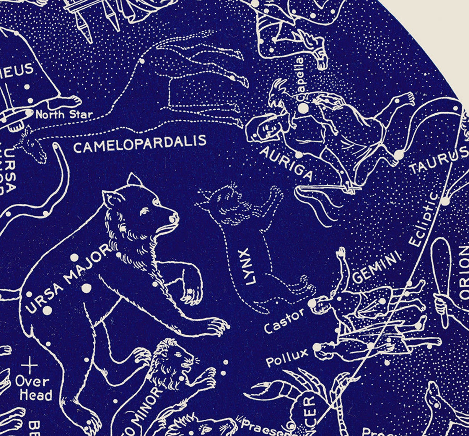 Pink Constellation Print Rose Art Star Chart Zodiac Signs - Etsy