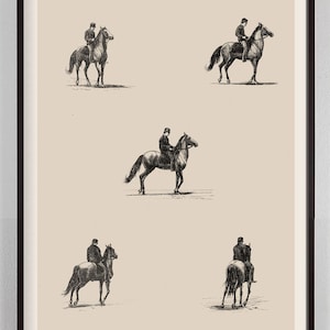 Vintage Horse Print, Antique horse and rider, Horse illustration Art for Study, Library, Kids Room Home Decor