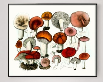 Mushroom Wall Art, Mushroom Decor, Red and Orange Mushroom Art Print, Kitchen Art, Foodie Art, Farmhouse Funghi, Victorian Mushroom