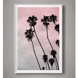 Pink Art, Los Angeles Photography, Beach House Art, Pink coastal wall art Surf Decor, Sunset photography Hollywood Regency, Hollywood Palm image 3