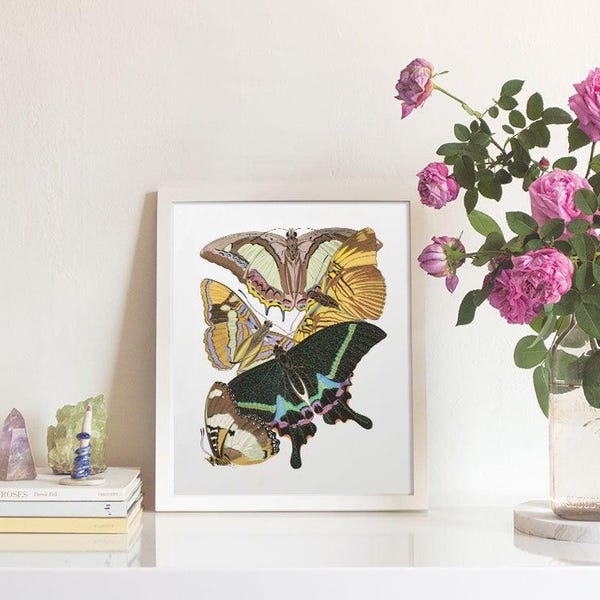 Antique E.A. Seguy Art Nouveau Butterfly Print, Sixties Style Colorful French Entomology Art