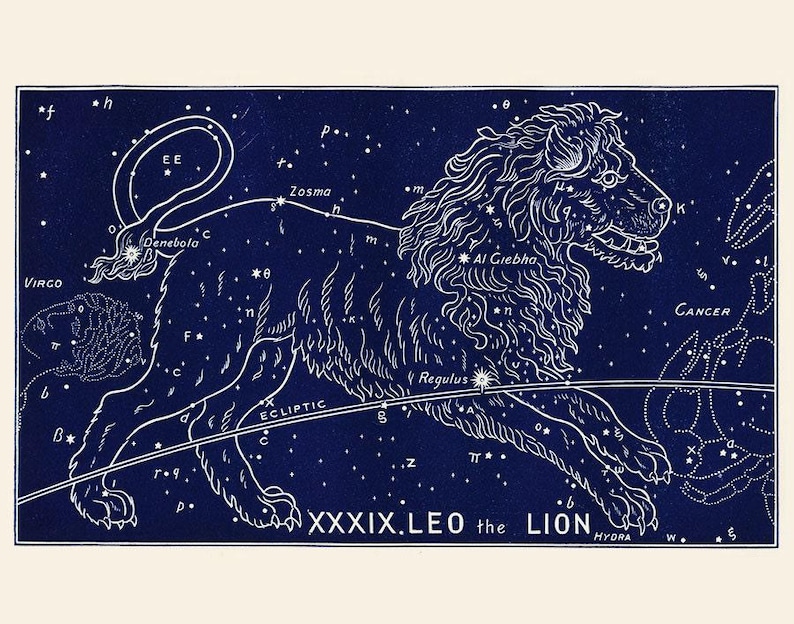 Antique Leo Zodiac Print, 19th Century Astrological Sign Art, Birthday Gift for Leo image 1