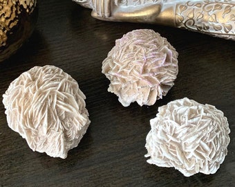 Peut inclure: Trois amas de sélénite de quartz rose, également appelés roses du désert, sur une surface en bois brun foncé. Les amas sont blancs avec une teinte rose clair et ont une structure délicate et en couches.