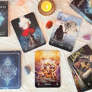 DIVINE ANIMALS Oracle-Oracle Card-Animal Oracle-Oracle Deck-Divination Card-Reading Card-Divination Tool-Gift-44 Oracle Cards and Guidebook