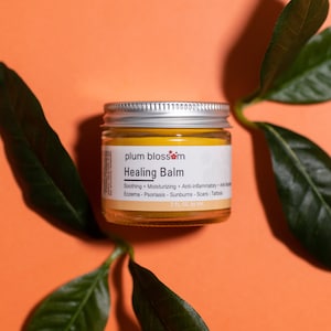 BOTANICAL BALM Eczema Psoriasis Sunburn Dry Irritated Skin