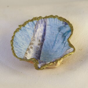 Genuine shell dish, Shell trinket dish, sea shell ring dish,  beach decor, coastal gift, shell art, dish for jewelry