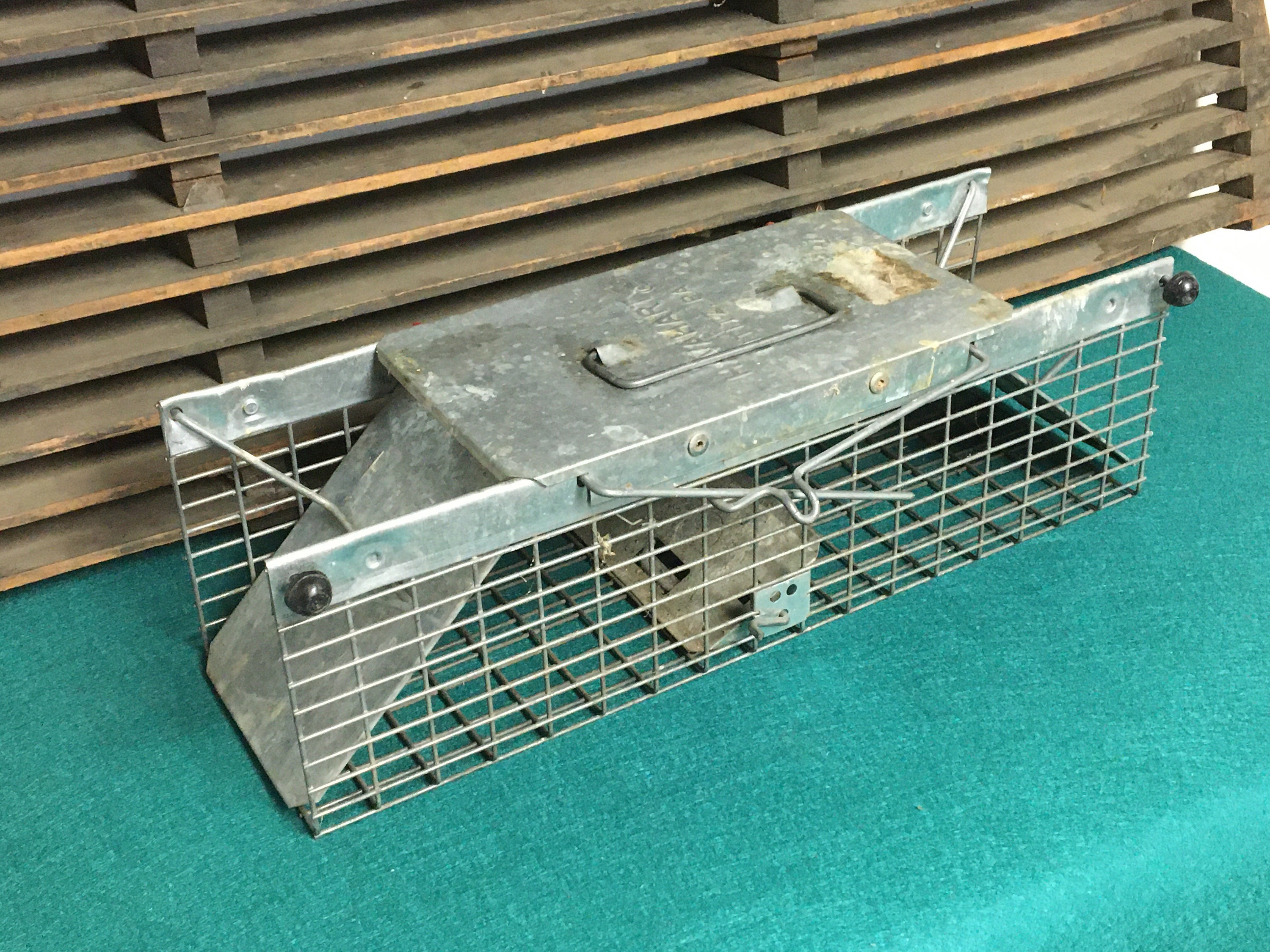 Vintage Metal Wire Animal Trap Cage, Havahart Littiz, Pa., Humane