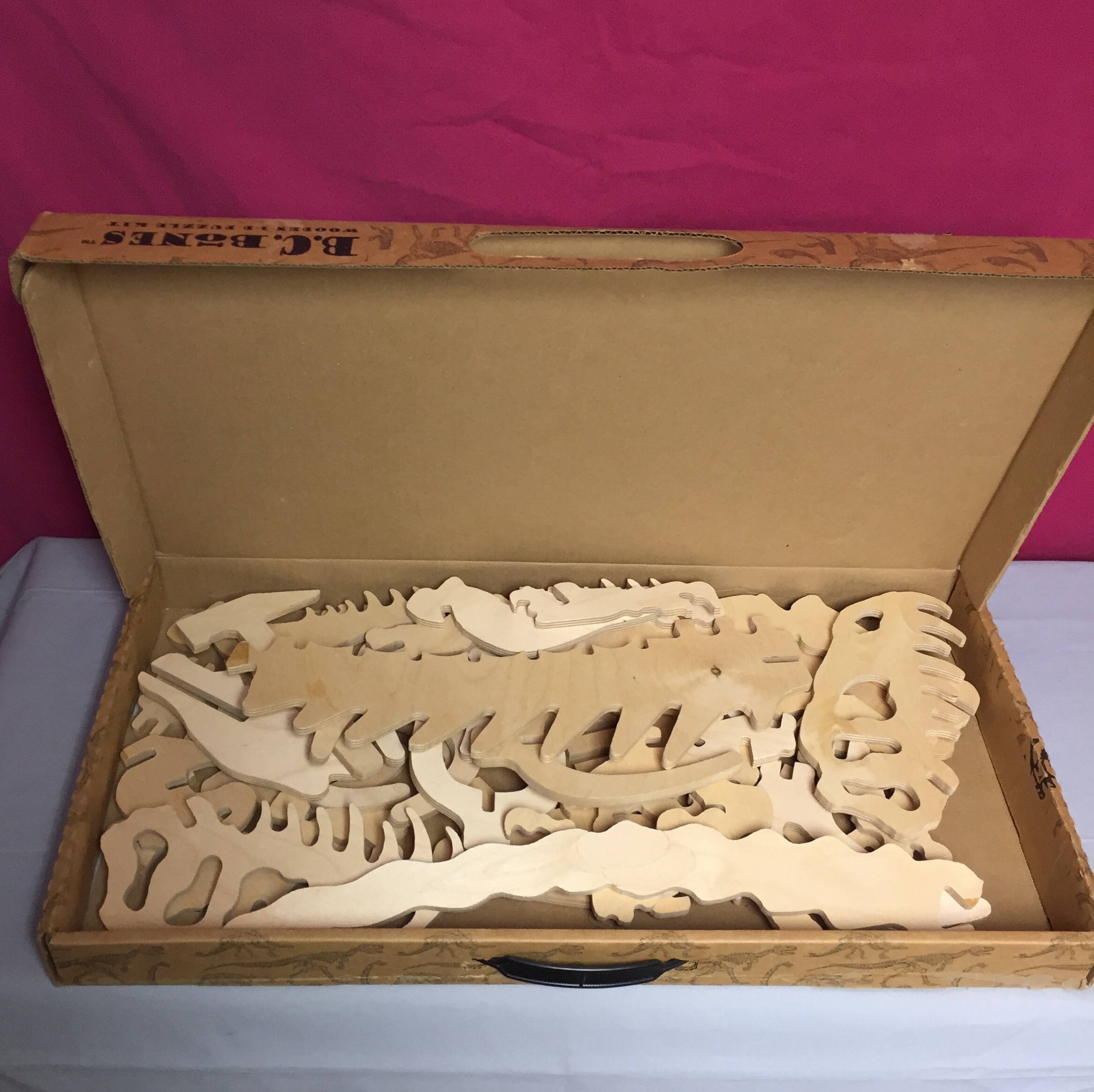 t rex skeleton kit