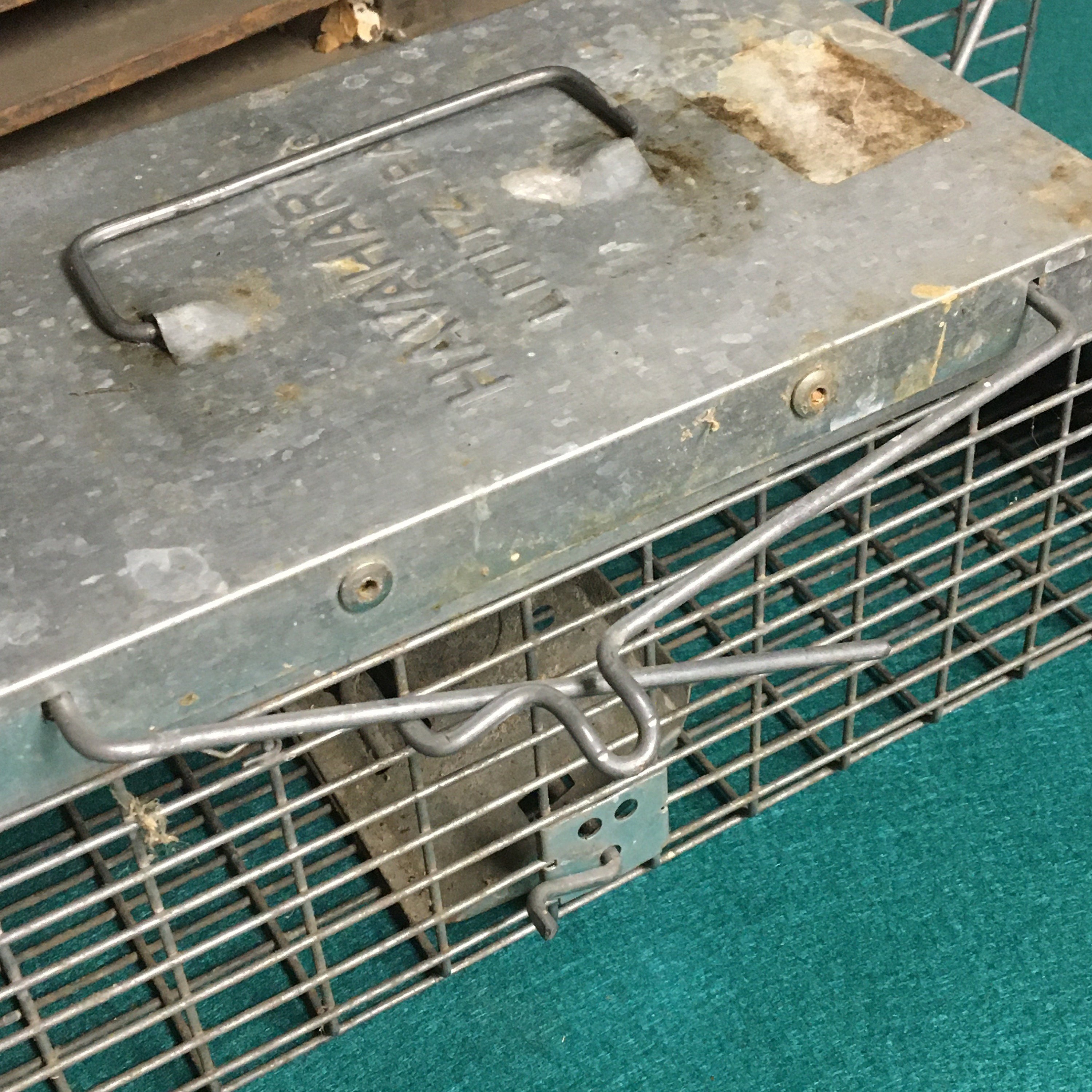 Vintage Metal Wire Animal Trap Cage, Havahart Littiz, Pa., Humane