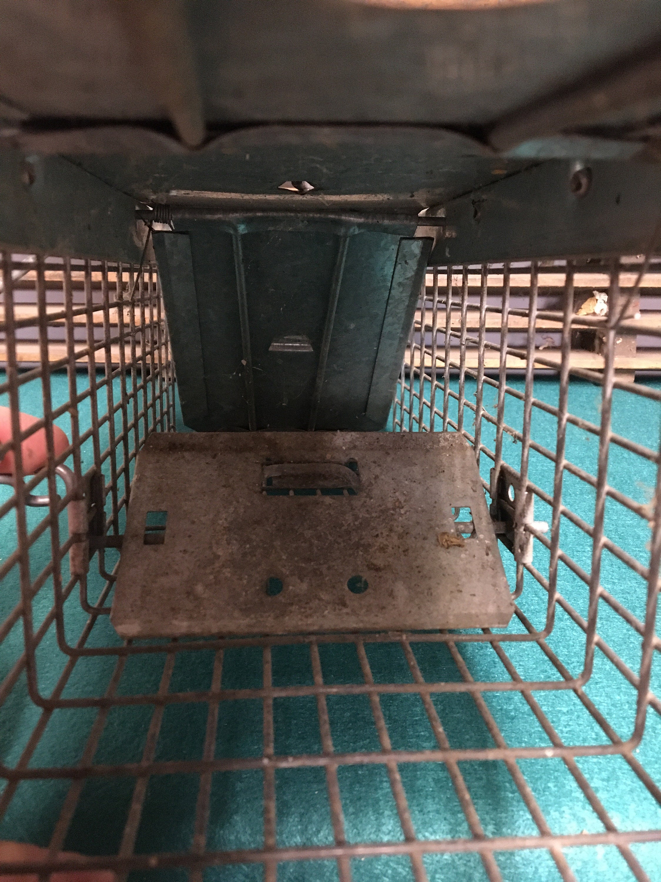 Vintage Metal Wire Animal Trap Cage, Havahart Littiz, Pa., Humane