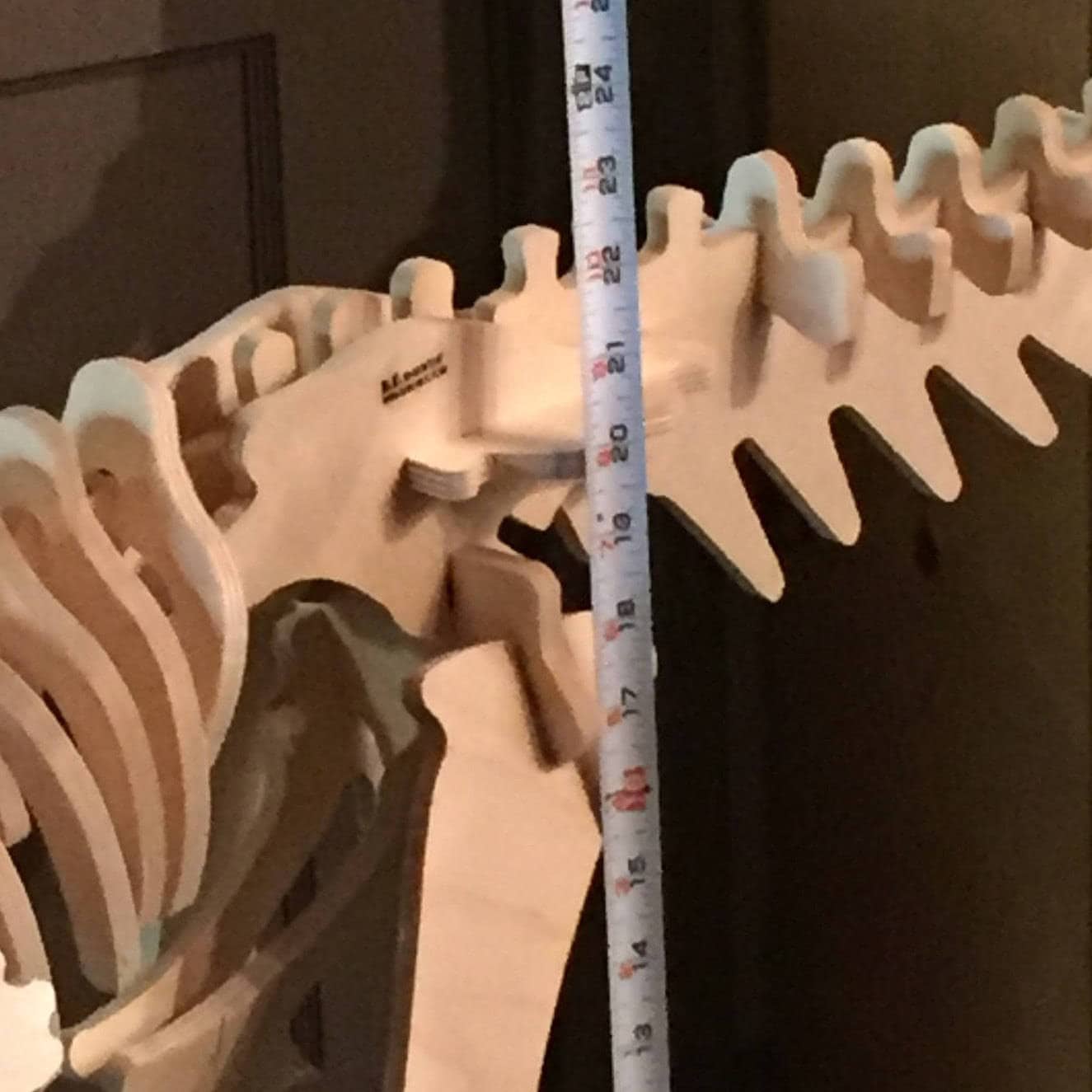 t rex skeleton kit