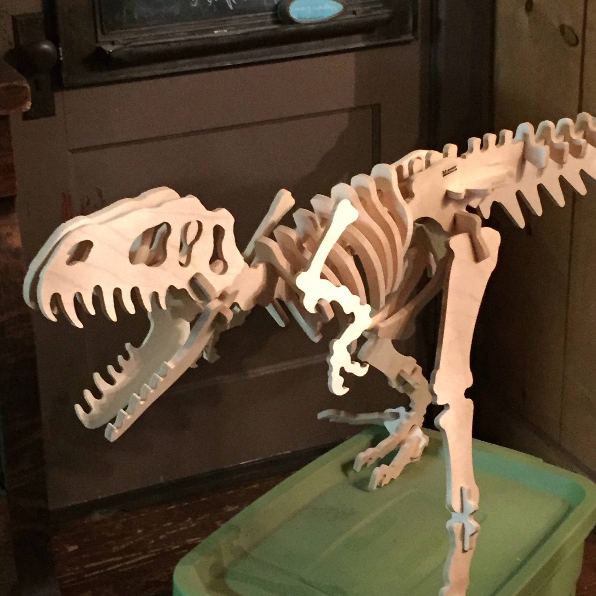 t rex skeleton