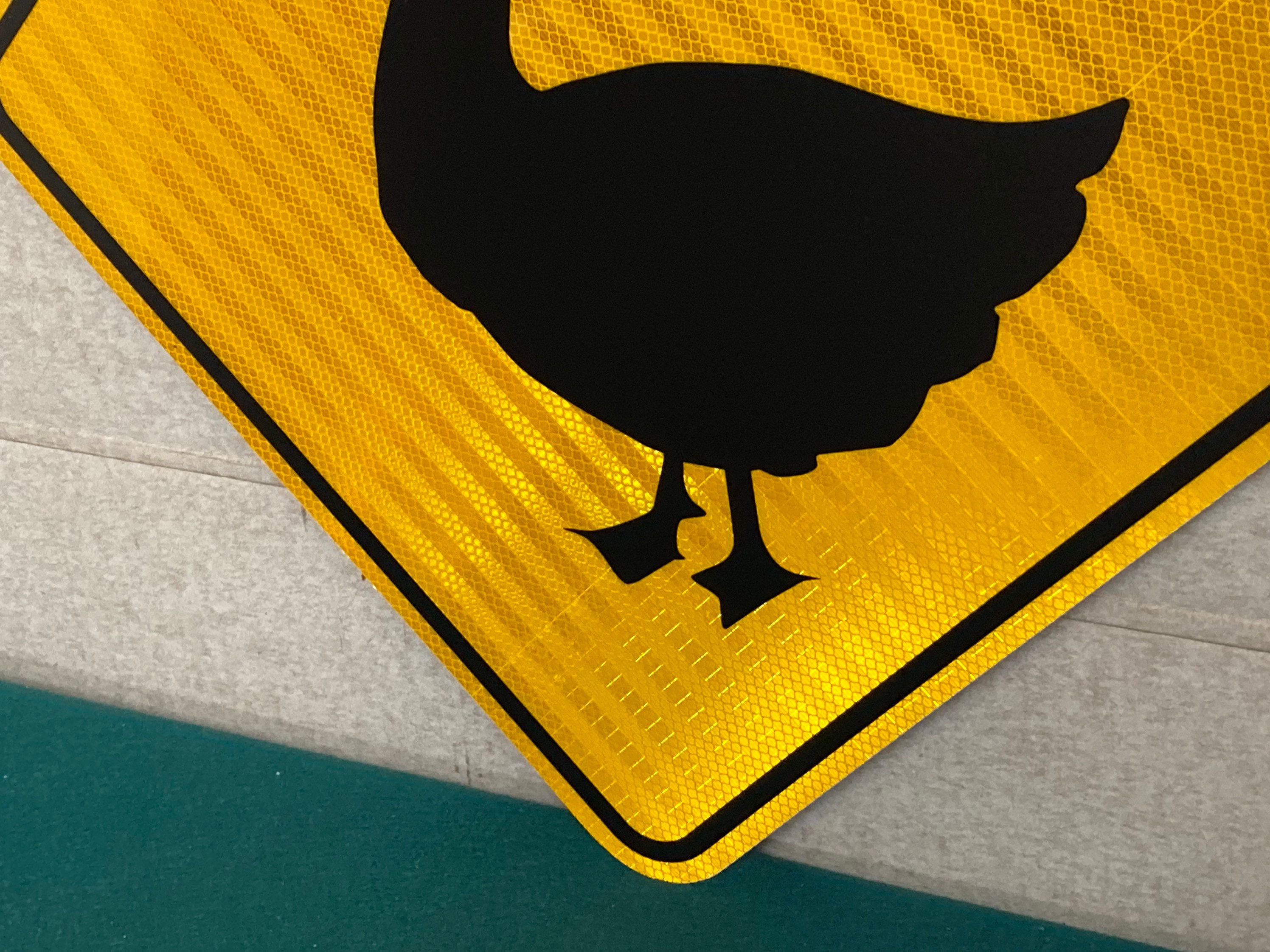 Authentic DUCK CROSSING Road Sign, Real Pennsylvania Street Sign, DOT