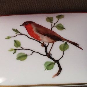 Porcelain Trinket Box, Gefiederte Welt, Rosenthal, Handmalerei, Munchen Germany, Hand Painted Bird image 2