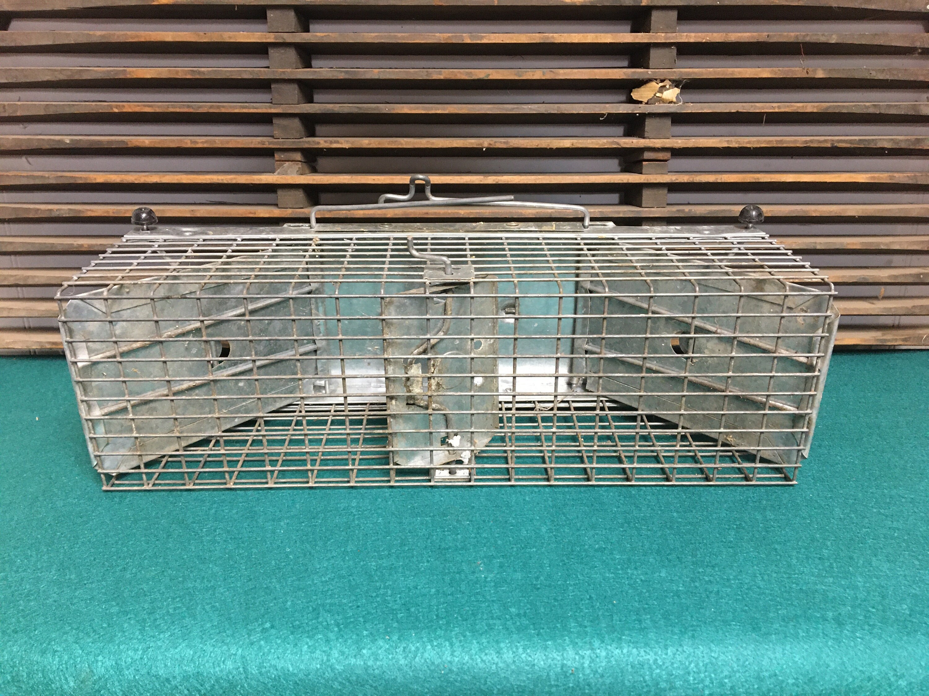 Vintage Metal Wire Animal Trap Cage, Havahart Littiz, Pa., Humane