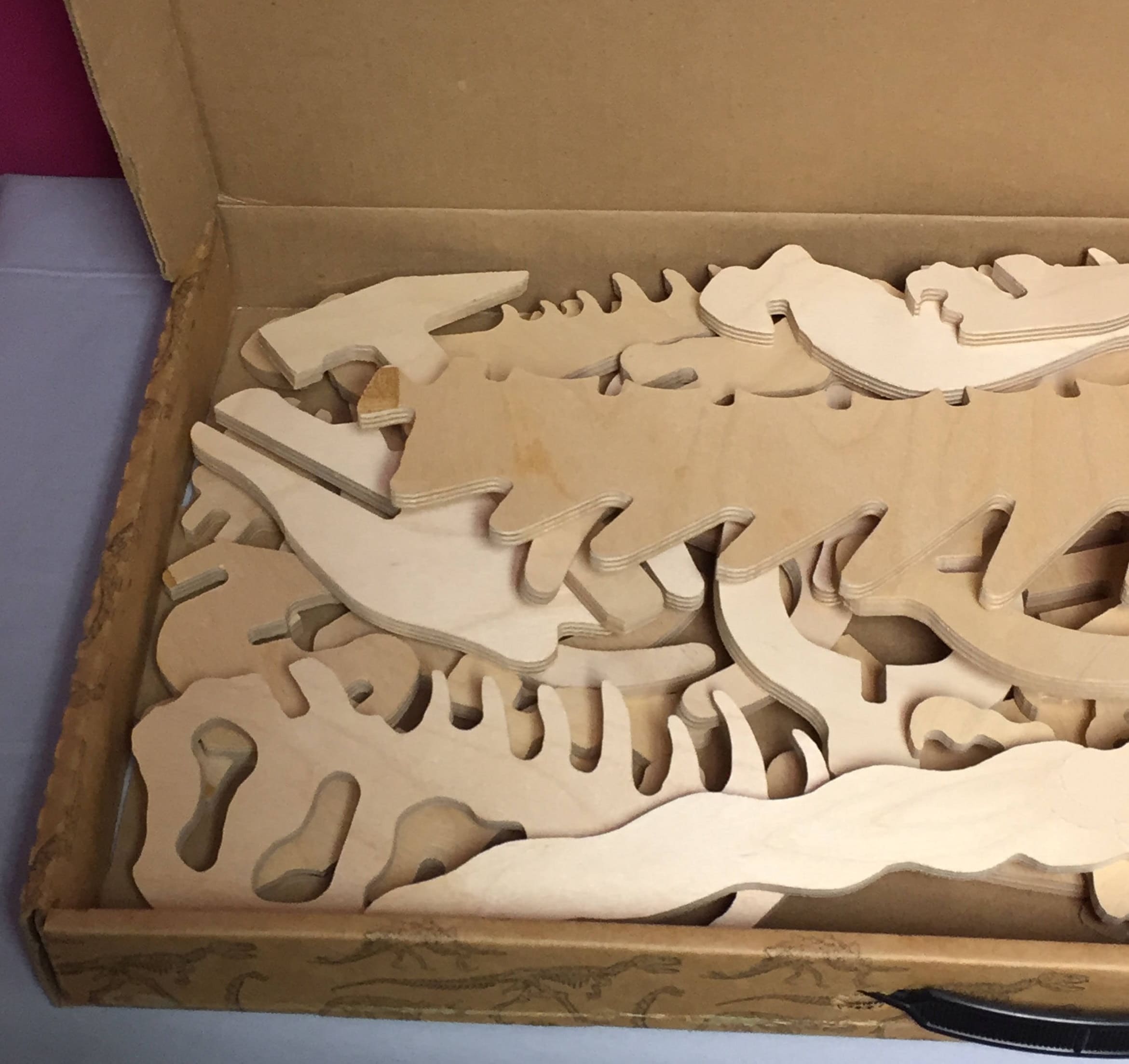 BC Bones Wooden T. Rex Dinosaur Skeleton Kit, Dinosaur Puzzle