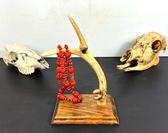 Handcrafted Jewelry Display Rack, Authentic Deer Antler