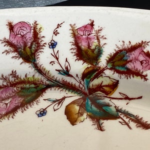 May include: A close-up of a white ceramic plate with a hand-painted floral design. The design features pink roses with brown and green leaves and stems.