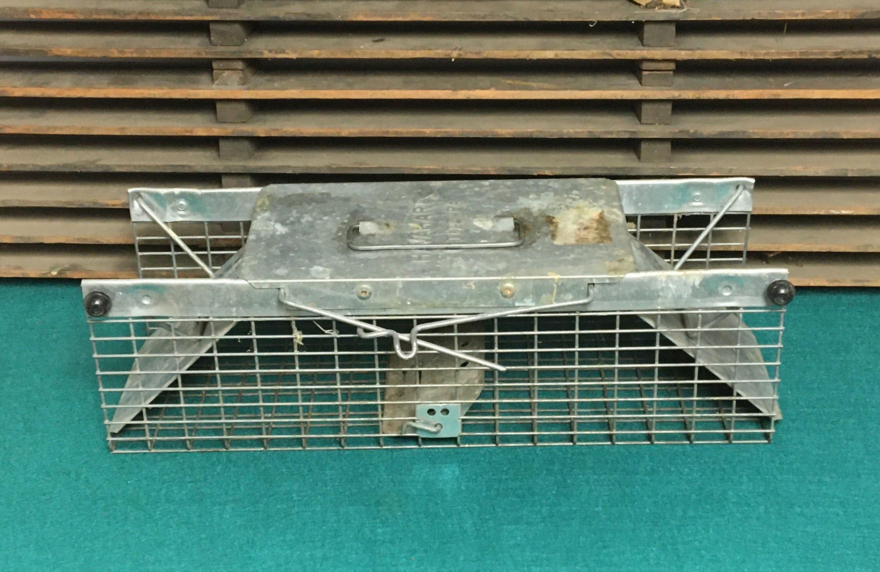 Vintage Metal Wire Animal Trap Cage, Havahart Littiz, Pa., Humane