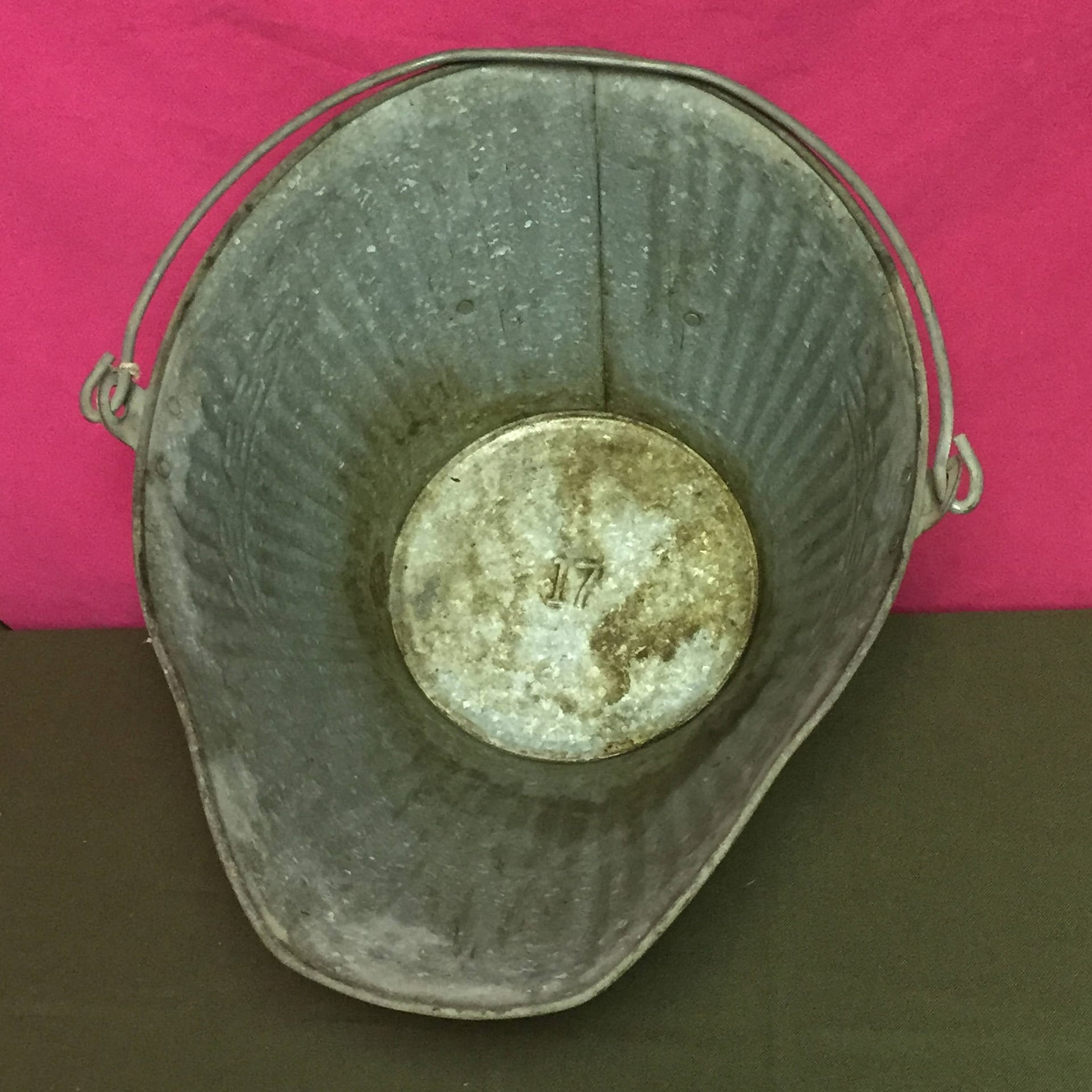 REEVES 17 Galvanized Coal Bucket with Double Handle, Ash Bucket