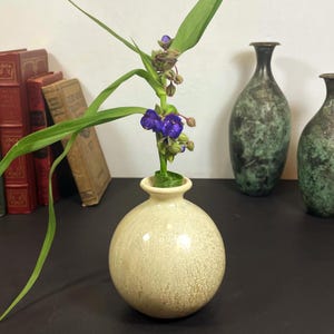 May include: A small, round, beige ceramic vase holds a sprig of purple flowers and green leaves. Two other decorative vases are in the background. Several antique books are visible to the left.