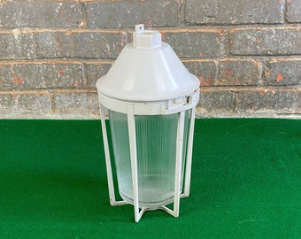 Appleton Industrial Explosion Proof Light with Cage and Glass Globe, Outdoor Pendant Light