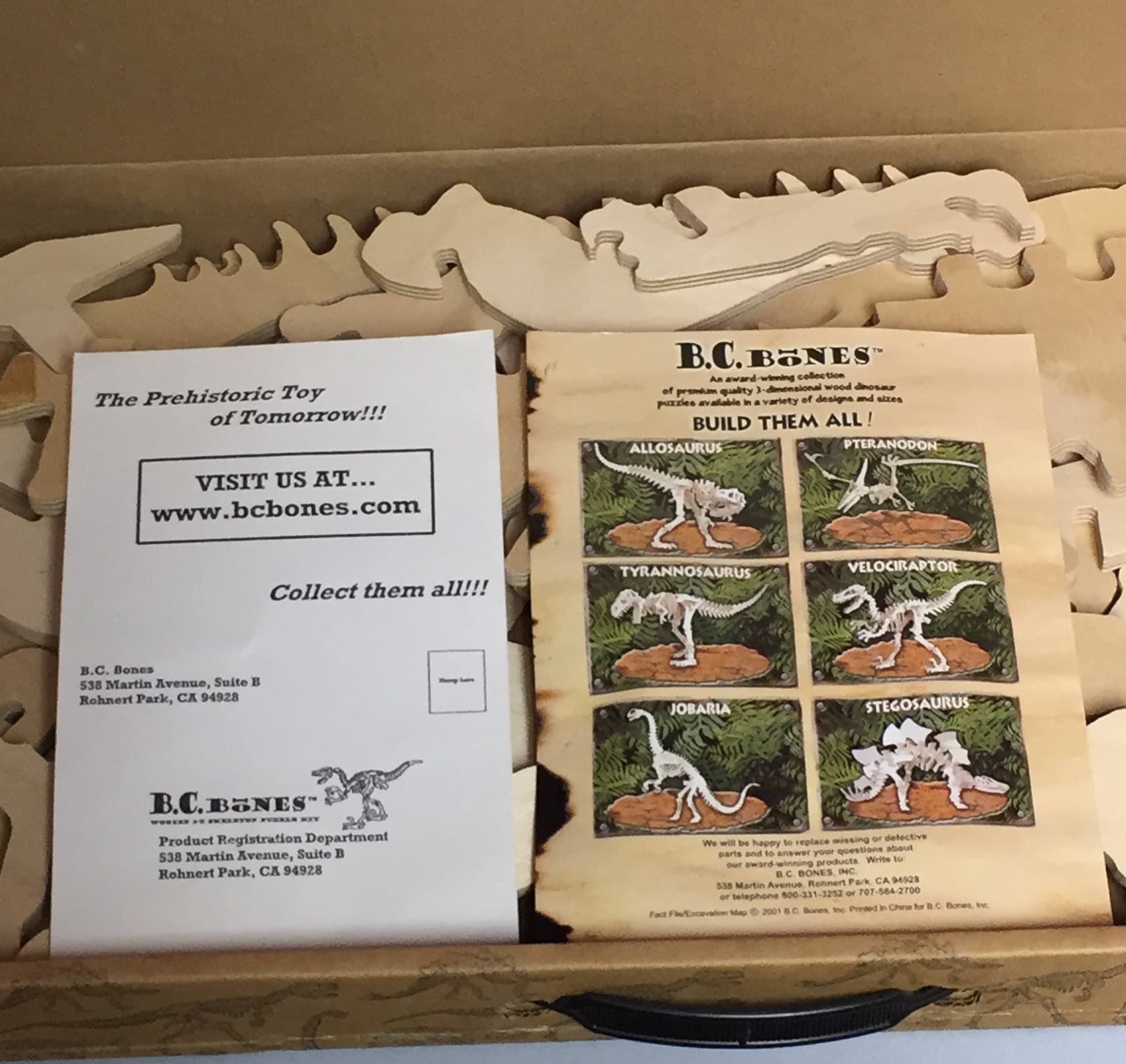 BC Bones Wooden T. Rex Dinosaur Skeleton Kit, Dinosaur Puzzle