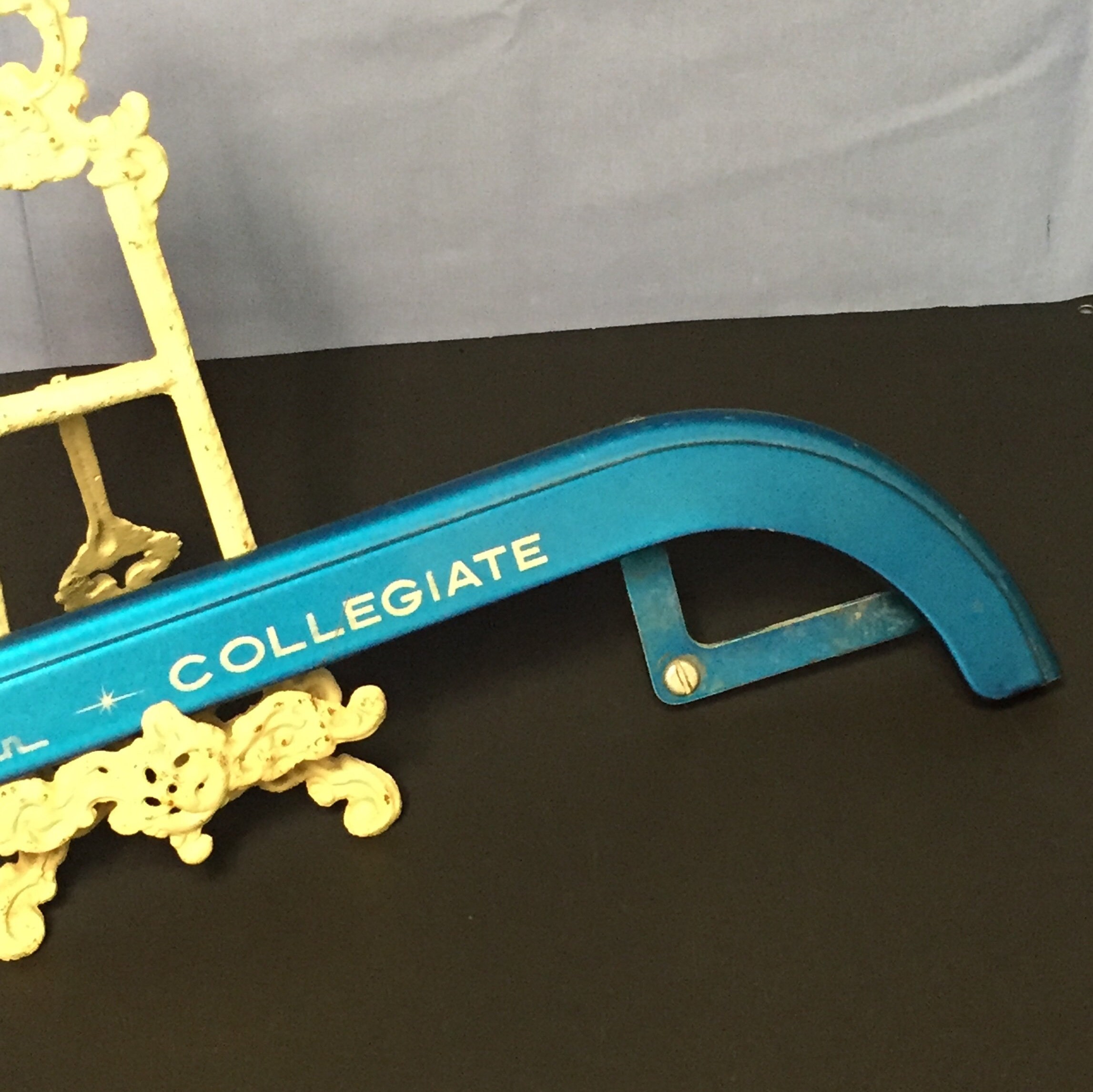 Vintage Schwinn Bicycle Chain Guard, Collegiate Bicycle, Ladies Five