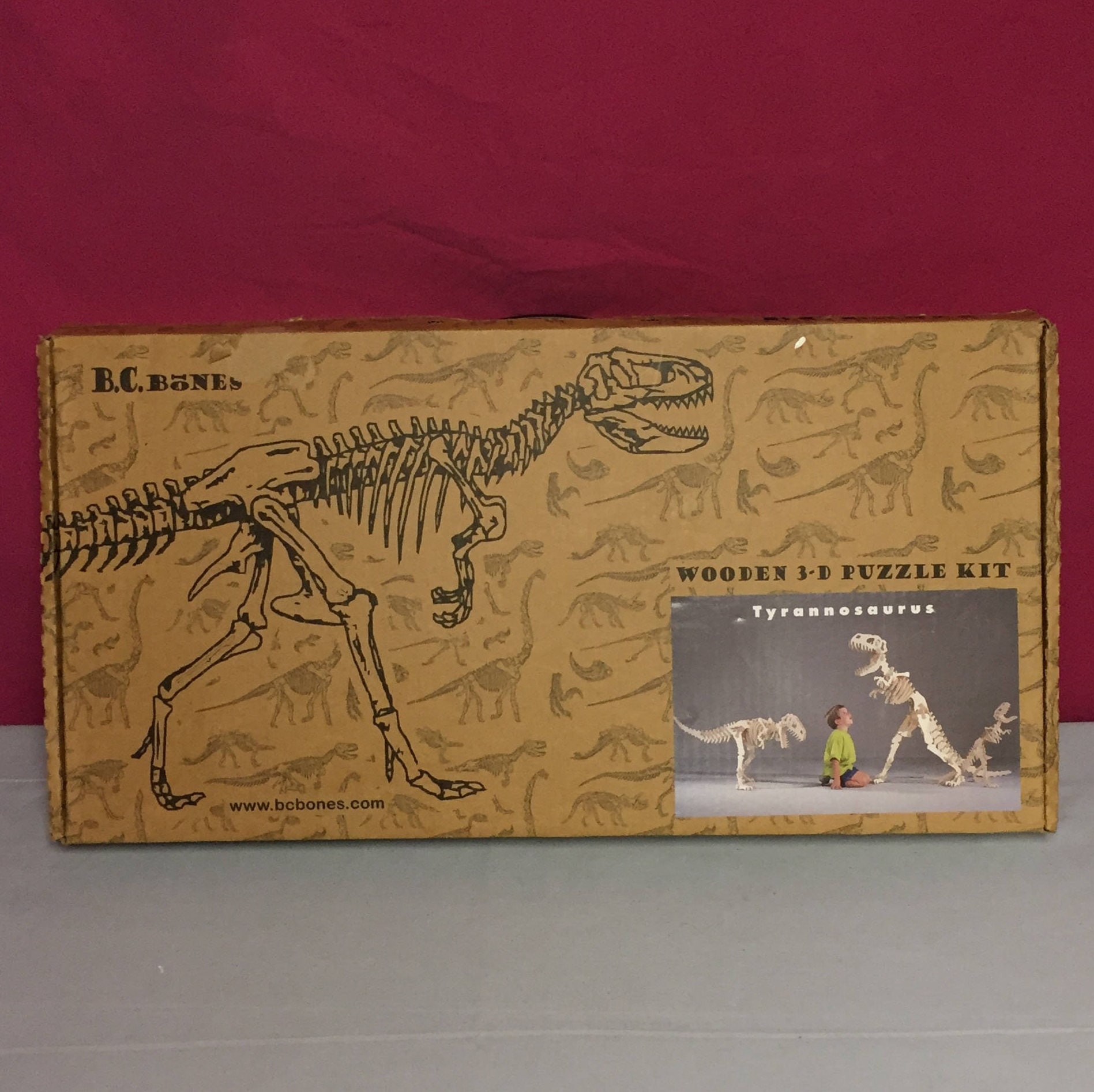 BC Bones Wooden T. Rex Dinosaur Skeleton Kit, Dinosaur Puzzle