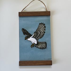 Peregrine Falcon print