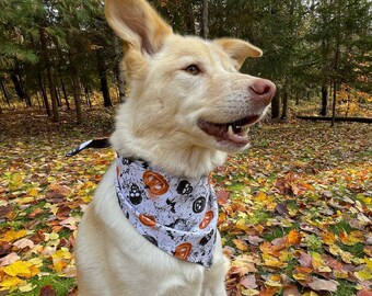 Dog Bandana Sewing Pattern PDF File