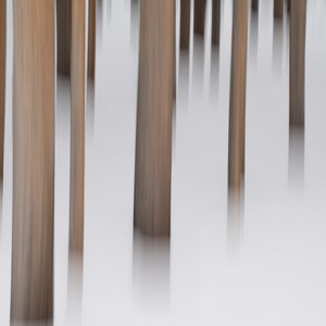 May include: A blurry image of wooden posts in a foggy, white landscape. The posts are arranged in a grid pattern, and the fog creates a sense of mystery and depth.