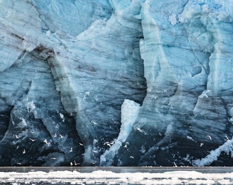 Fine Art Photograph, Arctic Gulls ,  Minimalist fine art nature photography prints, oversized wall decor, large wall art