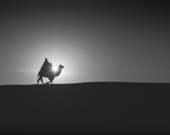 Camel in Gobi Desert , Minimalist fine art nature photography prints, black and white photography, landscape photography, large wall art