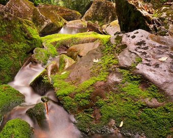 Shays Run, West Virginia, Fine Art Photograph,  oversized wall decor, landscape photography, large wall art