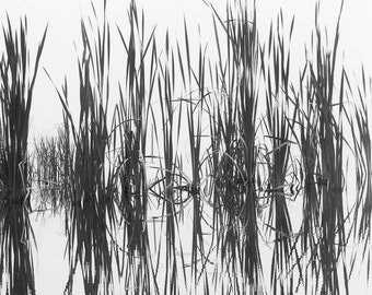 Spruce Knob Reflections, Minimalist fine art nature photography prints, black and white photography, landscape photography, large wall art